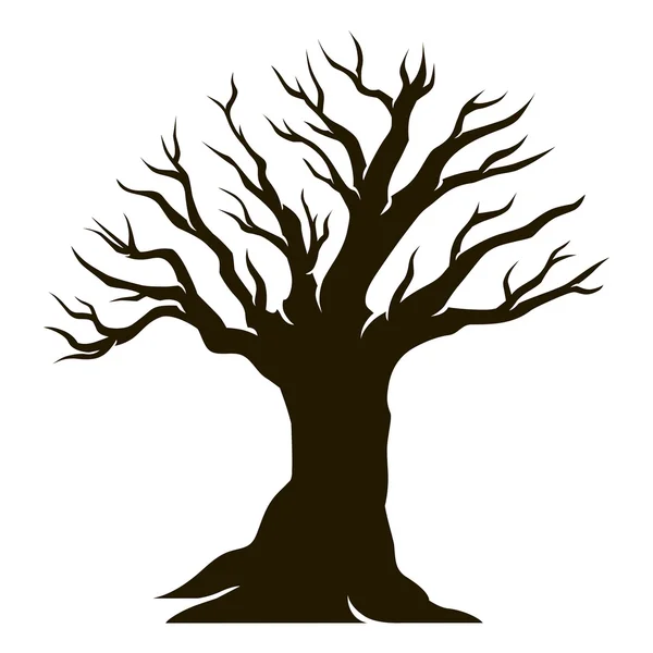 Mooie oude olijfboom — Stockvector