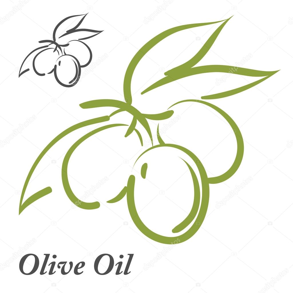 Set of olive oil labels, logos and design elements