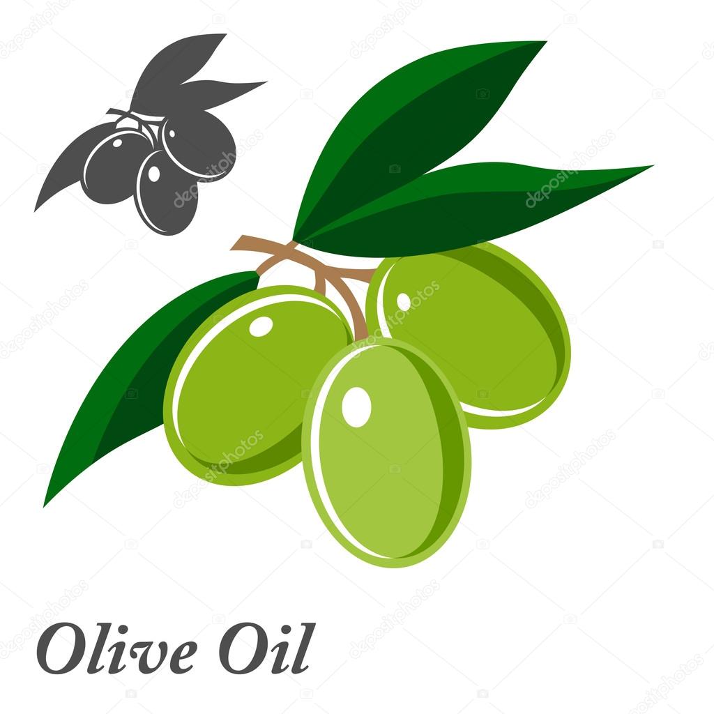 Set of olive oil labels, logos and design elements