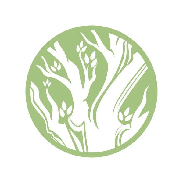 Plantilla de logotipo de árbol — Vector de stock