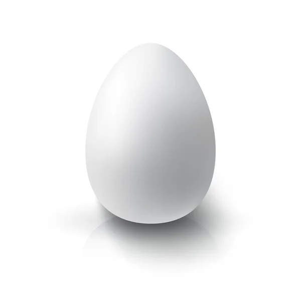 Realistic 3D White Egg — Stock Vector