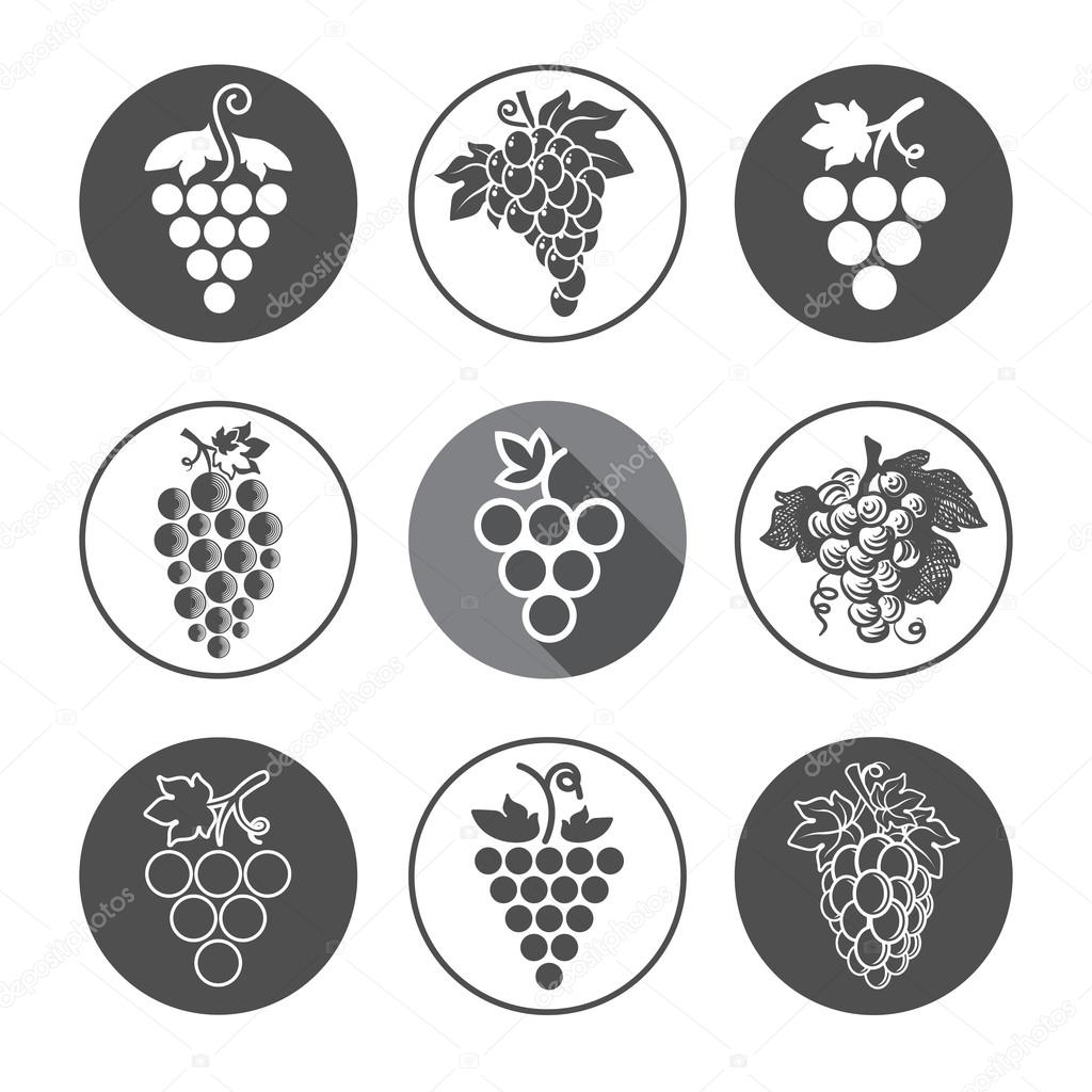 Grapes Icons and Logo Set. For Identity Style of Natural Product Company, Restaurants, Bars and Wine Houses. Contour lines. Flat design. Design elements. Circle icons. Realistic image. Vector art