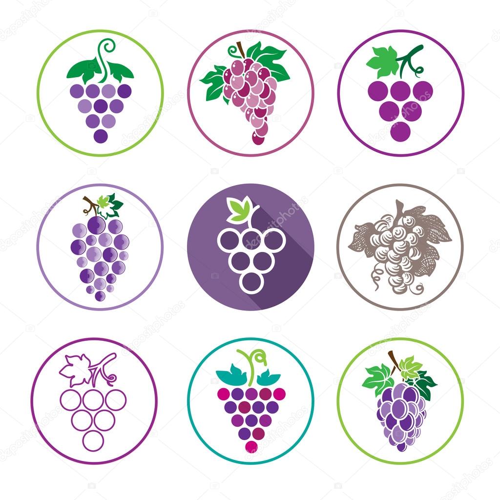 Grapes Icons and Logo Set. For Identity Style of Natural Product Company, Restaurants, Bars and Wine Houses. Contour lines. Flat design. Design elements. Circle icons. Realistic image. Vector art