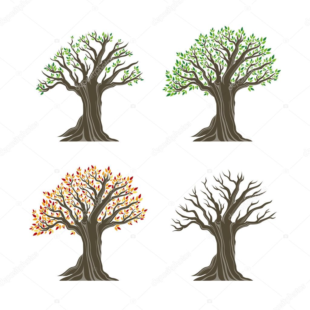 Trees in four seasons realistic decorative icons set isolated on white background. Design elements. Realistic image. Vector illustration