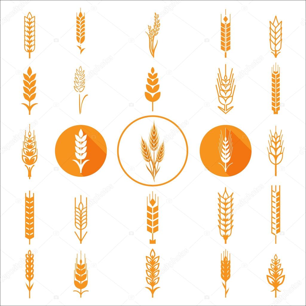 Wheat Ears Icons and Logo Set