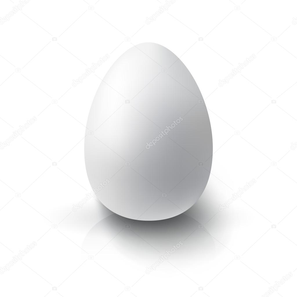 Realistic 3d White Egg Vector Image By C Galastudio Vector Stock