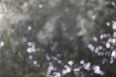 Ön manzara yağmurlu gün dokusu arka planı. Bulanık arkaplan 