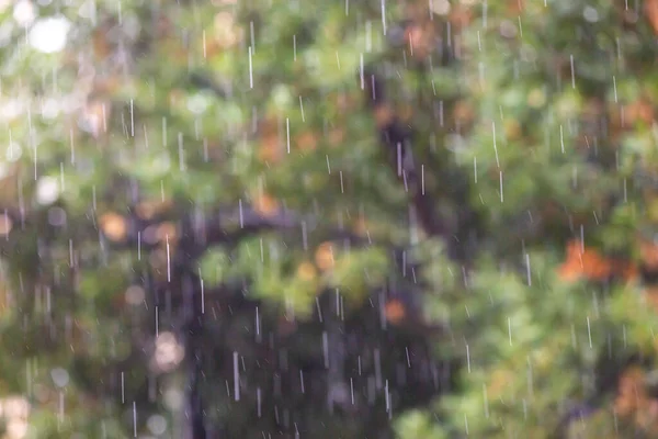 Front View Rainy Day Texture Background Blurred Background — Stock Photo, Image