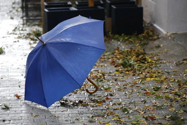 Parapluie Bleu Debout Sur Rue Humide Jour Pluie — Photo