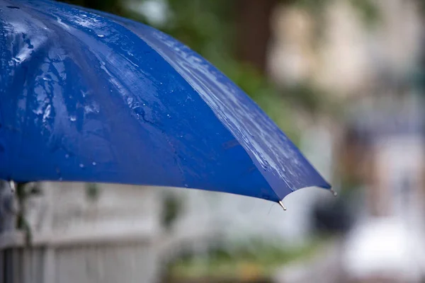 Deszczowy Dzień Niebieski Parasol — Zdjęcie stockowe