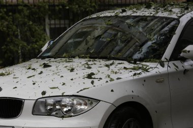 Arabanın camında durur