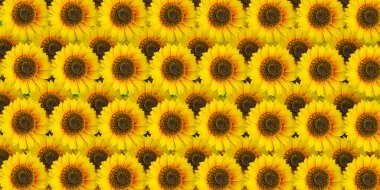 Arkaplanda üst görünüm çiçek deseni dokusu