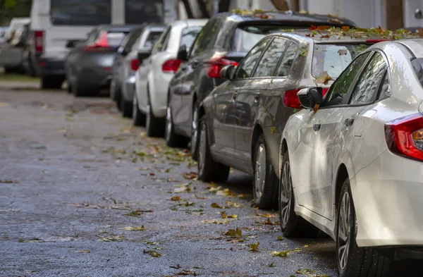 Bir sürü araba park etmiş.
