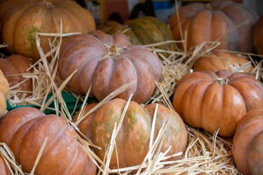 Ön görünüm Kabağı üst üste 