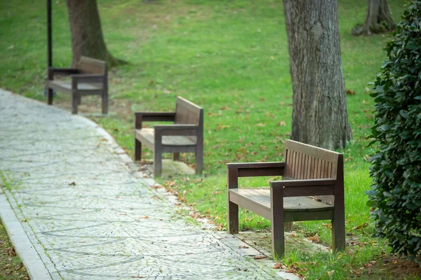 Holzsitz Steht Par — Stockfoto