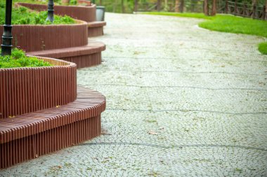 Parkta ahşap bir bank.