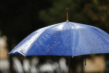 Yağmurlu bir gün ve mavi bir şemsiye