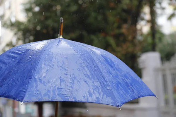 Deszczowy Dzień Niebieski Parasol — Zdjęcie stockowe