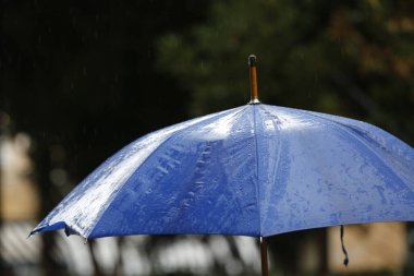 Yağmurlu bir gün ve mavi bir şemsiye