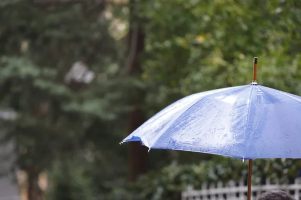 Deszczowy Dzień Niebieski Parasol — Zdjęcie stockowe
