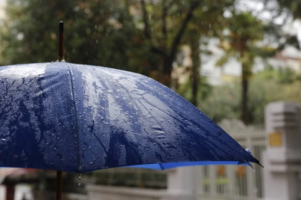 Une Journée Pluvieuse Parapluie Bleu — Photo