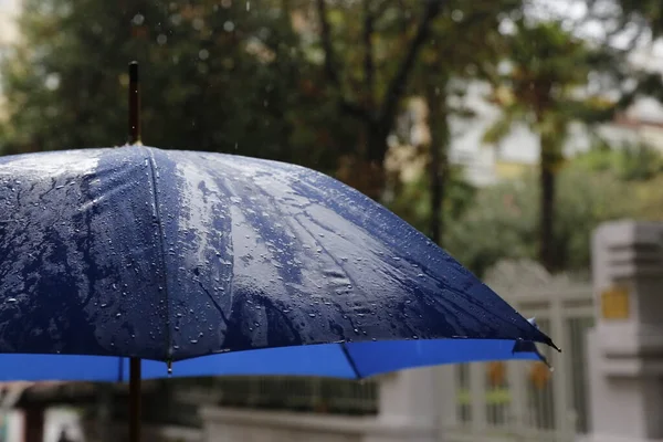 Une Journée Pluvieuse Parapluie Bleu — Photo