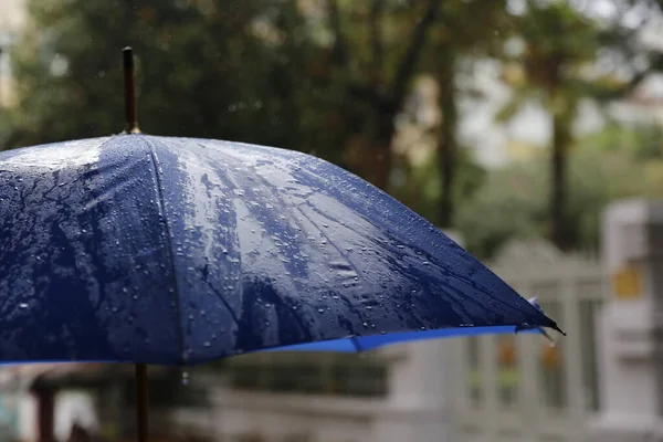 Une Journée Pluvieuse Parapluie Bleu — Photo