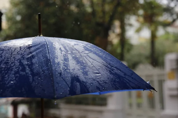 Une Journée Pluvieuse Parapluie Bleu — Photo