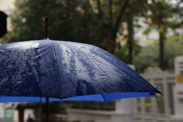 Une Journée Pluvieuse Parapluie Bleu — Photo