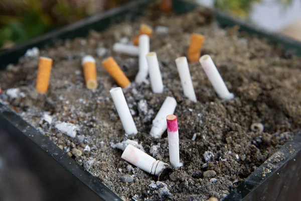 Selective Focus Cigarettes Put Out Sand — Stock Photo, Image