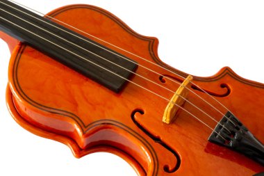 Beyaz arkaplanda izole edilmiş çelloyu kapat