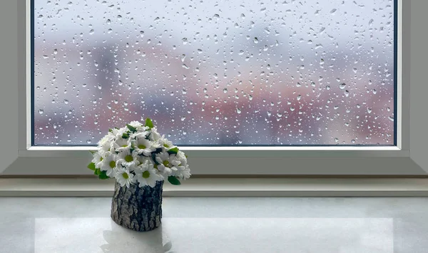 Front View Flowers Windowsill — Stock Photo, Image