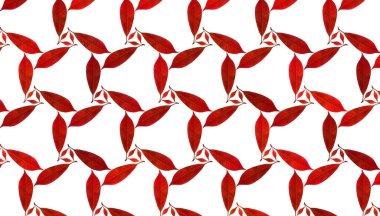 İzole edilmiş beyaz arkaplanda kırmızı yapraklar