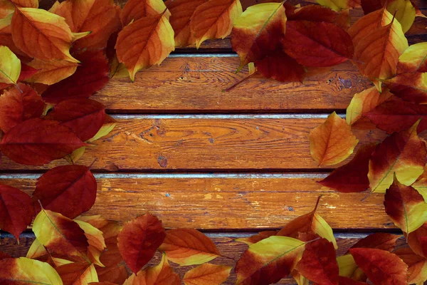 Bovenaanzicht Herfstbladeren Houten Vloer — Stockfoto