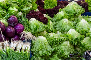 Üst manzara, taze sebzeler markette duruyor.