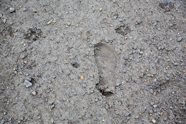 表土の地面に足跡 — ストック写真
