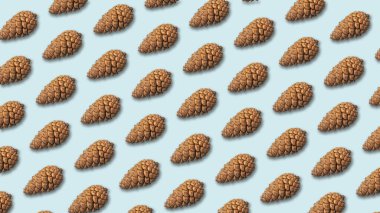 Çam kozalakları arka plan. Üst görünüm