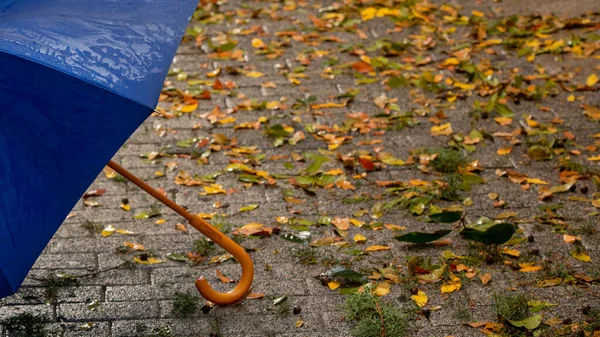 Blue umbrella standing on wet street on a rainy day