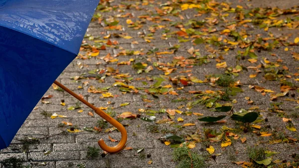 Parapluie Bleu Debout Sur Rue Humide Jour Pluie — Photo