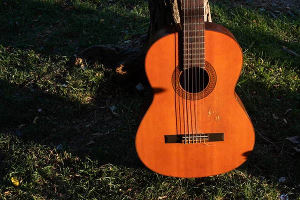 草の上のギターの背景 — ストック写真