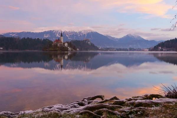 Lago Bled e a ilha — Fotografia de Stock