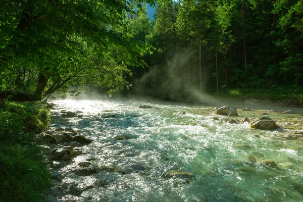 Brume sur la rivière Soca — Photo