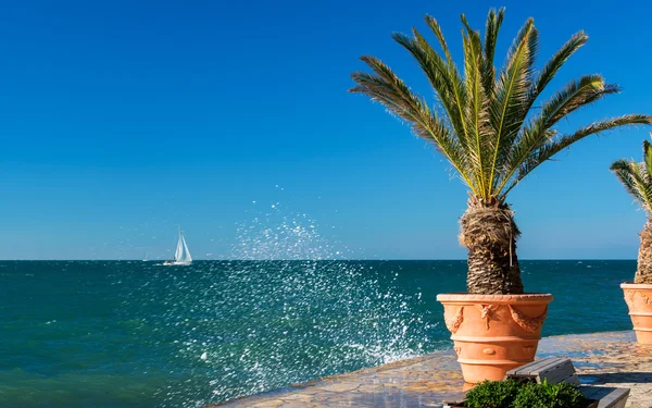 Uno sguardo al mare — Foto Stock