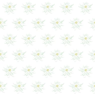 camomille sans soudure vector, blanc de fond. marguerites. peut être utilisé pour le fond d'écran, fonds de page web, textileKamilla varrat nélküli mintát vektor, fehér háttér. százszorszépek. is alkalmas iskolapad tapéta, web-oldal hátterek, textil.