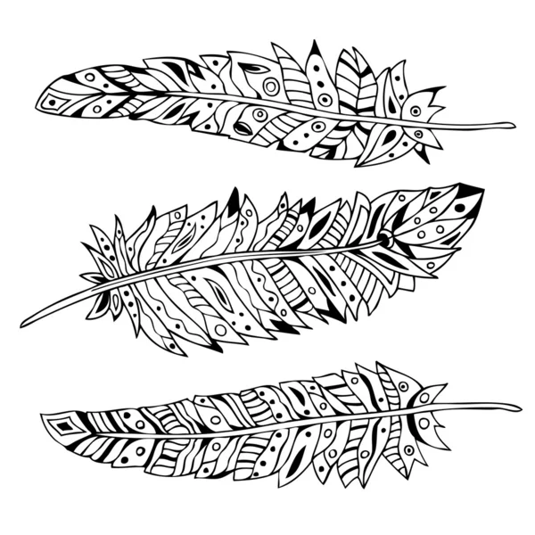 Decorative feathers, vector set. Hand-drawn illustration. Black outline. — Stock Vector