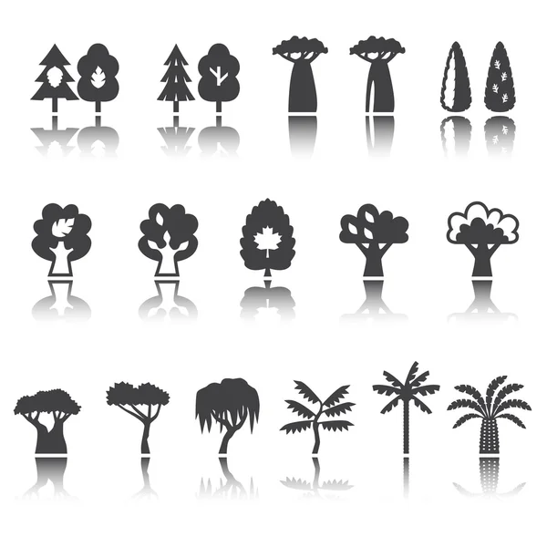 Ağaçlar Icon set. Siluet. Gölge yansıması. Vektör set.