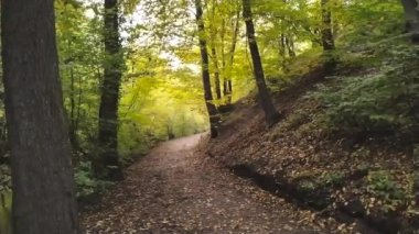 Yavaş çekimde kayaların ve taşların üzerinde dağ yürüyüşü turu yeşil yeşillik ve macera turlarının ve meditasyon ve sakin izolasyon yollarının huzurlu manzarasını gösteriyor.