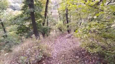 Yavaş çekimde kayaların ve taşların üzerinde dağ yürüyüşü turu yeşil yeşillik ve macera turlarının ve meditasyon ve sakin izolasyon yollarının huzurlu manzarasını gösteriyor.