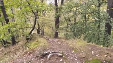 Yavaş çekimde kayaların ve taşların üzerinde dağ yürüyüşü turu yeşil yeşillik ve macera turlarının ve meditasyon ve sakin izolasyon yollarının huzurlu manzarasını gösteriyor.