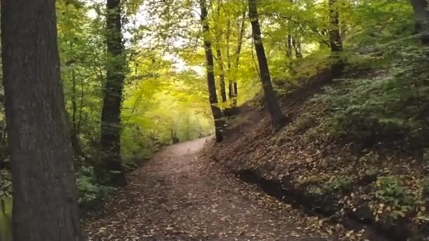 Пешеходная Экскурсия Лесу Над Скалами Камнями Замедленной Съемке Пов Показывает — стоковое видео